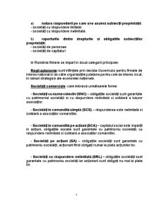 Tipologia firmelor din România - descrierea unui tip de firmă care funcționează în România - Pagina 4