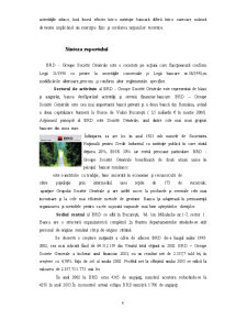 BCR - Studiu de Caz - Pagina 5