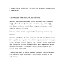 Noțiunea și caracterele juridice ale patrimoniului - Pagina 4