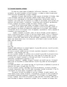 Exportul României de Legume Ecologice - Pagina 5