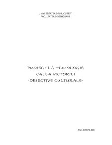 Proiect la hidrologie - Calea Victoriei - obiective culturale - Pagina 1