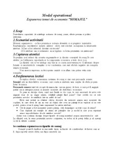 Model operațional - șomajul - Pagina 1