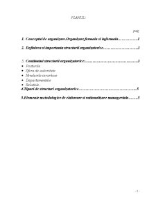 Structura organizatorică - Pagina 2