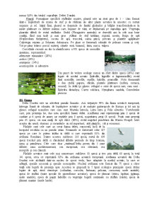 Delta Dunării - Rezervație a Biosferei - Pagina 3