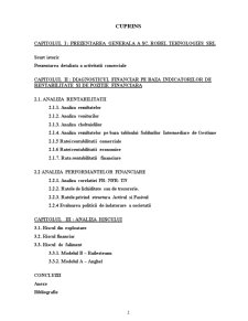 Diagnosticul Financiar - SC Robel Tehnologies SRL - Pagina 2