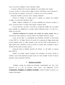 Diagnosticul Financiar - SC Robel Tehnologies SRL - Pagina 5