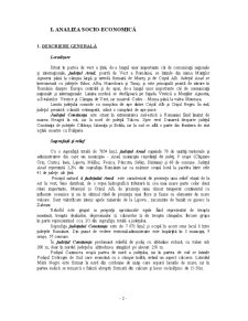Analiza Comparativă a Județelor Arad și Constanța - Pagina 3