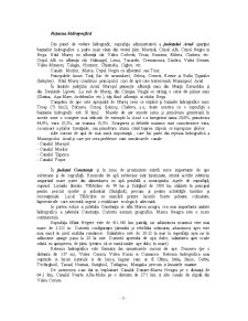 Analiza Comparativă a Județelor Arad și Constanța - Pagina 4
