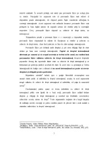 Statul - izvor de drept internațional public - Pagina 5