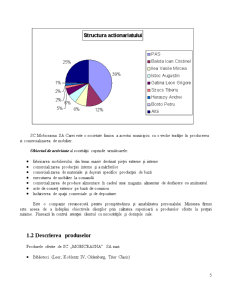 Gestiune Financiara - SC Mobicrasna SA - Pagina 5