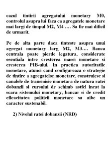 Strategii și Politici Monetare - Pagina 13