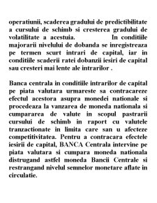 Strategii și Politici Monetare - Pagina 41
