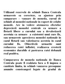 Strategii și Politici Monetare - Pagina 42