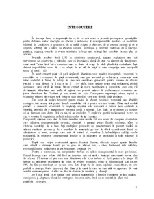 Managementul Intreprinderilor Mici si Mijlocii - Studiu de Caz SC Niramaro Prodcom SRL - Pagina 3