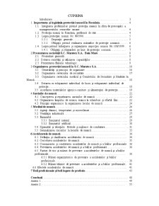 Direcțiile de îmbunătățire a protecției muncii - studiu de caz SC Maratex SA - Pagina 1
