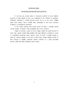 Direcțiile de îmbunătățire a protecției muncii - studiu de caz SC Maratex SA - Pagina 3