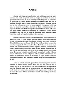 Ariciul - Pagina 1
