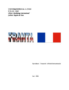 Analiză marketing - Franța - Pagina 1