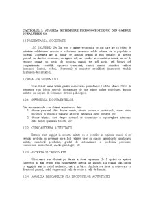 Analiza sistemului psiho-sociotehnic din cadrul SC Salubris SA Iași - analiză psihologică a unui loc de muncă - Pagina 3