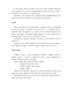 Monografia satului Stoiana - Pagina 3