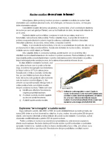 Nuclee Exotice - Pagina 1