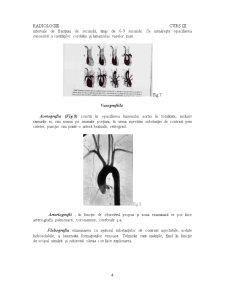 Radiologie - Pagina 4