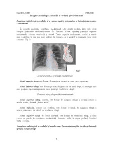 Radiologie - Pagina 5