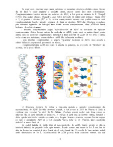 Acizii Nucleici - ADN și ARN - Pagina 5