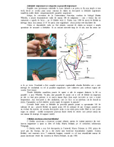 Migrația insectelor - Pagina 3