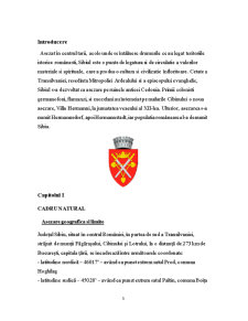 Studiu de oportunitate privind dezvoltarea turistică și agroturistică a județului Sibiu - Pagina 3