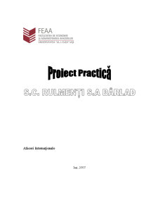 Proiect practică SC Rulmenți SA Bârlad - Pagina 1
