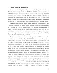 Proiect practică SC Rulmenți SA Bârlad - Pagina 5