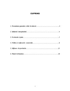 Plan de afaceri - producție bere - Pagina 2