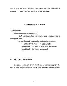 Plan de afaceri - producție bere - Pagina 5