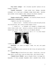 Diagnosticul imagistic al aparatului respirator - Pagina 3
