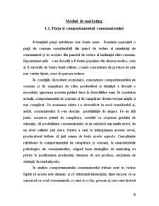 Fundamentarea Strategiei de Piață a Hipermarketului Carrefour în Contextul Intrării pe Piața Românească - Pagina 4