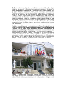 Organizarea instituțională - parteneriate - Pagina 2