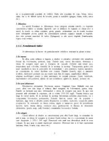 Ecosistemul - Pagina 5