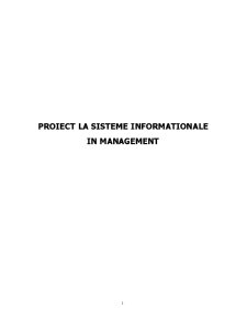 Sisteme informaționale în management - Pagina 1