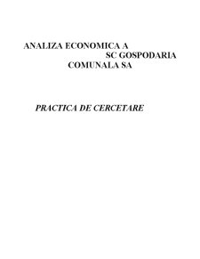 Analiza economică a SC Gospodăria Comunală SA - Pagina 1