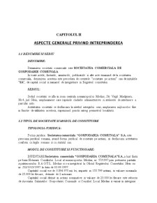 Analiza economică a SC Gospodăria Comunală SA - Pagina 5