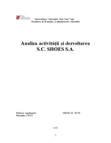 Analiza activității și dezvoltarea - SC Shoes SA - Pagina 1
