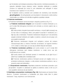 Biologie celulară - Pagina 28