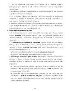 Biologie celulară - Pagina 29
