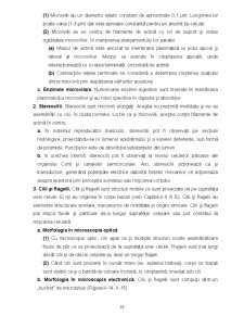 Biologie celulară - Pagina 35