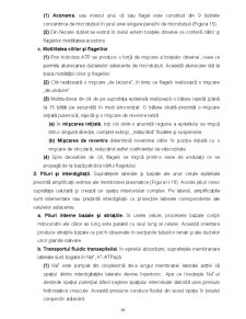 Biologie celulară - Pagina 36