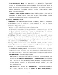 Biologie celulară - Pagina 40