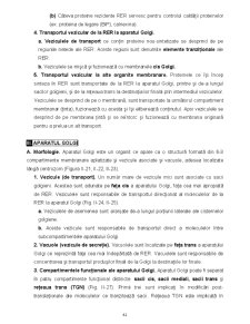 Biologie celulară - Pagina 42