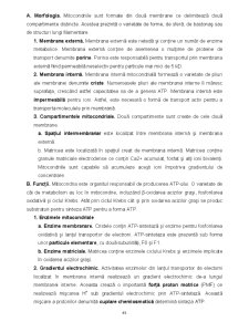 Biologie celulară - Pagina 45