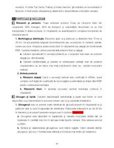Biologie celulară - Pagina 49